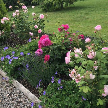 Rock Park Farm - Home From Home Accommodation Yeoford Экстерьер фото